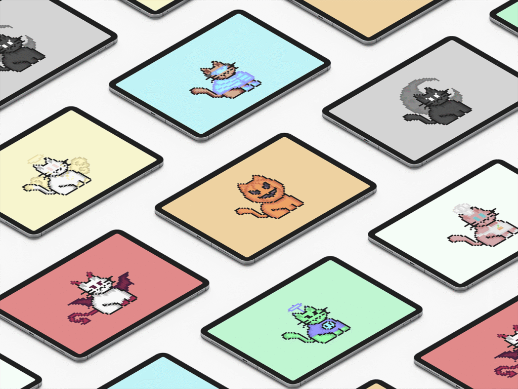 montagem de alguns dos gatos pixi cats